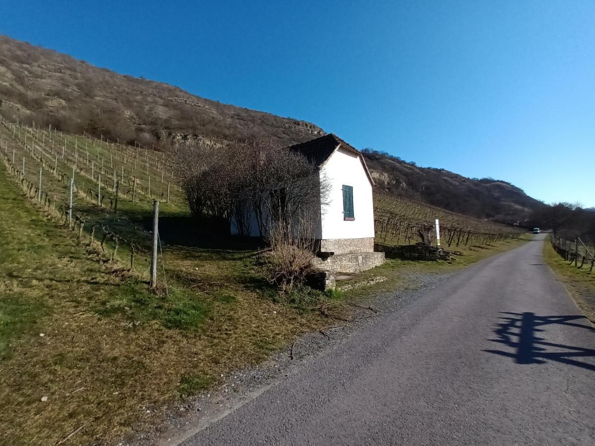 Ferienwohnung Naumburgliebe Наумбург Екстер'єр фото